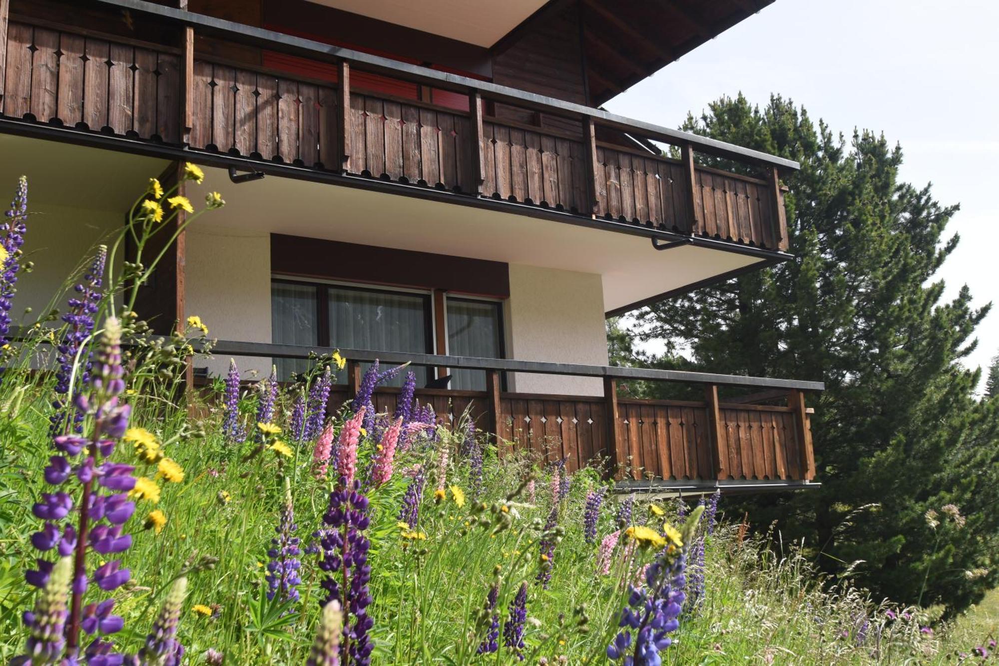 Chalet Christina 7 Ароза Экстерьер фото